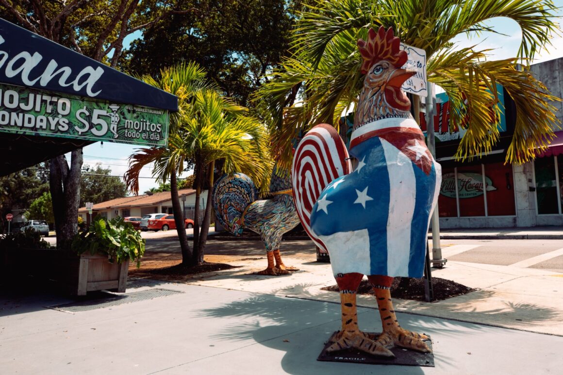 Copa América 2024: Un tour por Miami y sus atracciones Copa América 2024: Un tour por Miami y sus atracciones