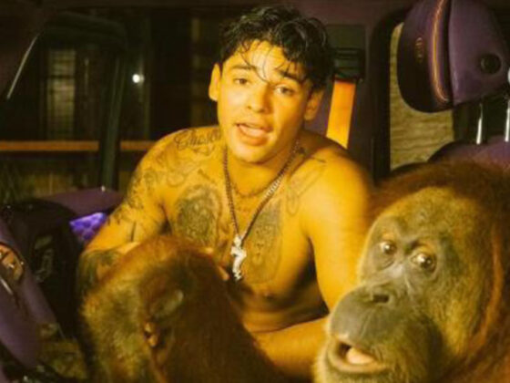 Ryan García ahora aparece cantando con un orangután Ryan García ahora aparece cantando con un orangután