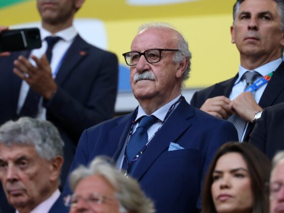 Breves de Unanimo: "España merece ganar la Euro", asegura del Bosque Vicente del Bosque asiste al encuentro de España ante Albania que se disputa en Düsseldorf (Alemania). EFE/EPA/FRIEDEMANN VOGEL